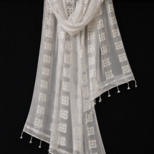 Ivory Squares — White Sheer Dupatta with Geometric Motifs