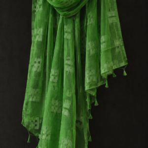 Green Whisper — Green Organza Dupatta with Geometric Motifs & Tassels